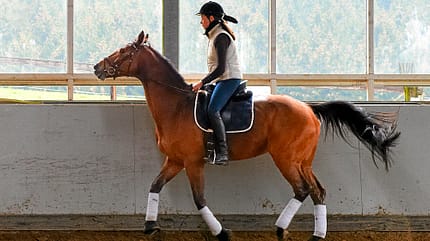 CAV Bodyformer Gurt Balance La Luna CAV Bodyformer Gurt Balance La Luna
