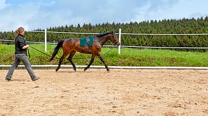 CAV Bodyformer Gurt Balance Justus CAV Bodyformer Gurt Balance Justus