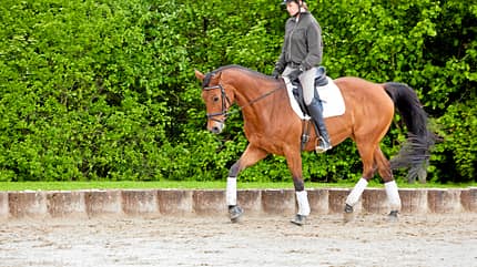 CAV Bodyformer Gurt Balance La Luna CAV Bodyformer Gurt Balance La Luna