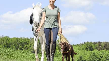 CAV Pferd und Hund 2 CAV Pferd und Hund 2