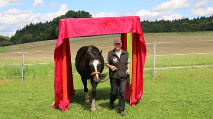 CAV Horse Agility Tunnel CAV Horse Agility Tunnel
