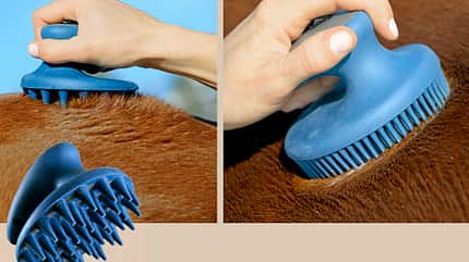 CAV Massageprodukte 5 CAV Massageprodukte 5