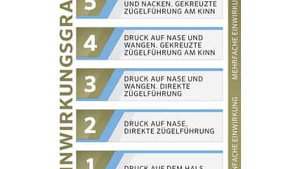 CAV Gebisslose Zäume im Test - Stufenskala