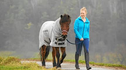 CAV Abschwitzdecken 3 CAV Abschwitzdecken 3