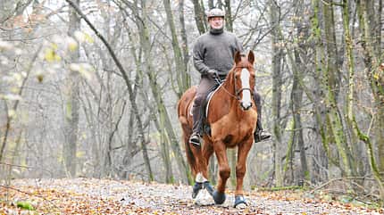 CAV Abschwitzdecken 5 CAV Abschwitzdecken 5