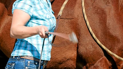 CAV Gebisslos Reiten Claudia Miller CAV Gebisslos Reiten Claudia Miller