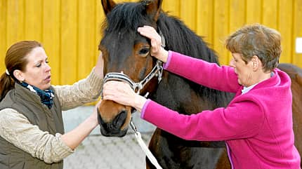 CAV Osteopathie Welter-Böller 3 CAV Osteopathie Welter-Böller 3