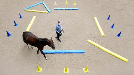 CAV Equikinetic Michael Geitner 4 CAV Equikinetic Michael Geitner 4
