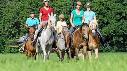 CAV Stimmung Pferd steuern 3 CAV Stimmung Pferd steuern 3