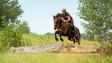 CAV Traber Rassetest Gelände CAV Traber Rassetest Gelände