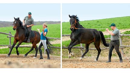 CAV Dressur Horsemanship 10 CAV Dressur Horsemanship 10