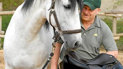 CAV Dressur Horsemanship 9 CAV Dressur Horsemanship 9