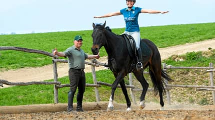 CAV Dressur Horsemanship 2 CAV Dressur Horsemanship 2