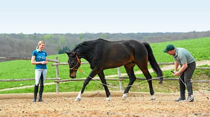 CAV Dressur Horsemanship 3 CAV Dressur Horsemanship 3