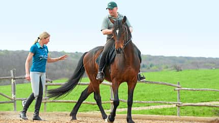 CAV Dressur Horsemanship 13 CAV Dressur Horsemanship 13