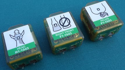 CAV Lameness Locator Lahmheit Medizin 9 CAV Lameness Locator Lahmheit Medizin 9