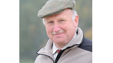 CAV Biegung Genick Studie Dressur Stellung - Eberhard Weiß