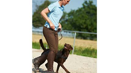 CAV Horse and Dog Trail Sabine Lang 3 CAV Horse and Dog Trail Sabine Lang 3