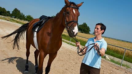 CAV Horse and Dog Trail Sabine Lang 2 CAV Horse and Dog Trail Sabine Lang 2