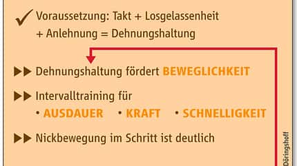 CAV Kondition Ausdauer Fitness Dressur Gelände - Grafik1 CAV Kondition Ausdauer Fitness Dressur Gelände - Grafik1