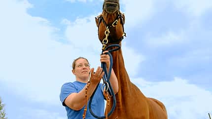 CAV-Wuensch-dir-was-Sarah-Westphale CAV-Wuensch-dir-was-Sarah-Westphale