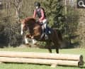 CAV Jagdreiten Marbach 42_Teaser CAV Jagdreiten Marbach 42_Teaser