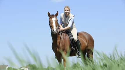CAV Pferd Reiter Fuchs Gelände CAV Pferd Reiter Fuchs Gelände