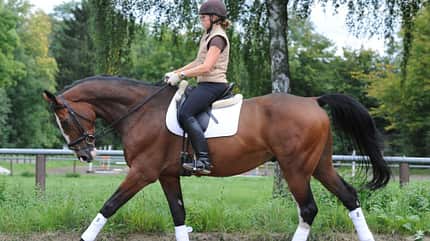 CAV Video Coach November 2010 Sarah Baum Galopp CAV Video Coach November 2010 Sarah Baum Galopp