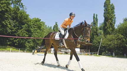 CAV Hilfszügel Teil 3 Bild 3 CAV Hilfszügel Teil 3 Bild 3