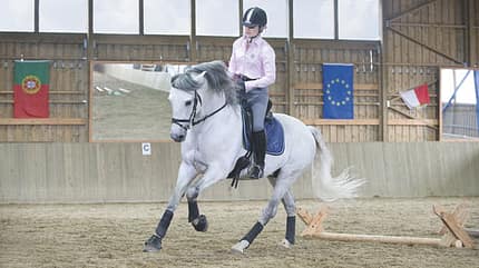 CAV Cavaletti-Arbeit Bild 2 CAV Cavaletti-Arbeit Bild 2