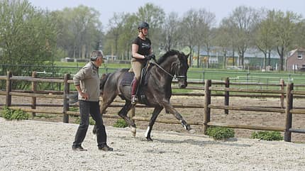 CAV Hufrolle Bild 3 CAV Hufrolle Bild 3