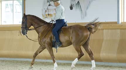 CAV Jean-Claude Racinet Bild 3 CAV Jean-Claude Racinet Bild 3