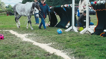 CAV_GHP1_5_ballotaden CAV_GHP1_5_ballotaden