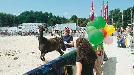 CAV_GHP1_3_luftnummer CAV_GHP1_3_luftnummer