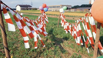 CAV_GHP1_4_fliegendefetzen CAV_GHP1_4_fliegendefetzen