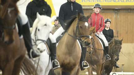 CAV Quadrille CAV Quadrille