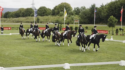 CAV Quadrille CAV Quadrille