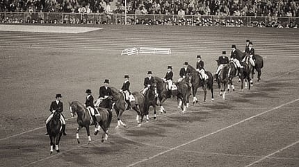 CAV Quadrille CAV Quadrille