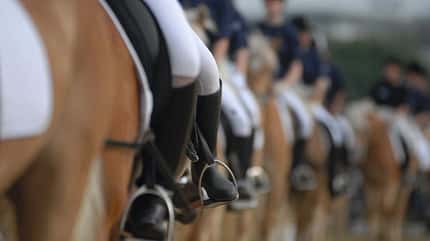 CAV Quadrille CAV Quadrille