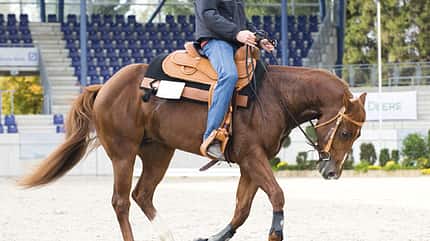 CAV Westernkritik CAV Westernkritik