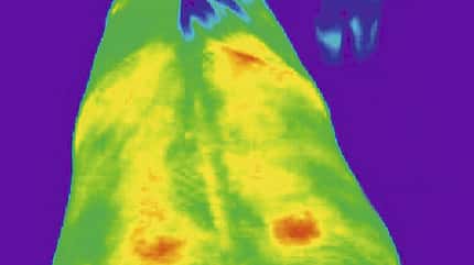 CAV_1208_thermografie_6 CAV_1208_thermografie_6
