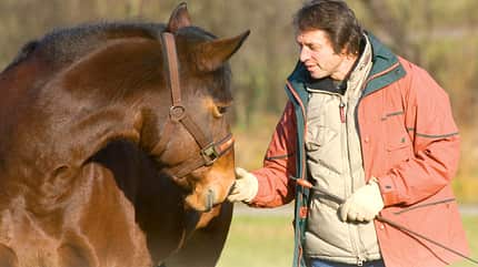 CAV 0108 Gurutest - Gorgi mit Pferd CAV 0108 Gurutest - Gorgi mit Pferd