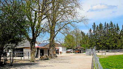 CAV Stall Scout Lechaumühle 2 CAV Stall Scout Lechaumühle 2