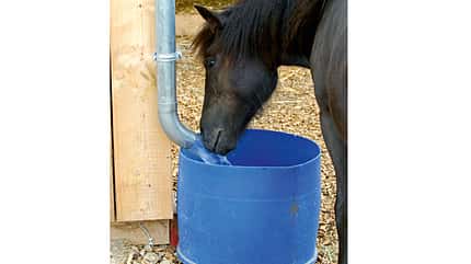 CAV Regenwasser Pferde tränken 2 CAV Regenwasser Pferde tränken 2