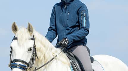 cav-201906-hirn-an-huefte-boeke-barbara-lir1886 (jpg) cav-201906-hirn-an-huefte-boeke-barbara-lir1886 (jpg)