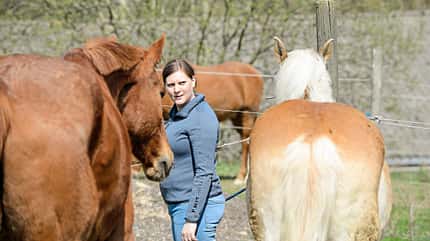 CAVALLO-Coach CAVALLO-Coach