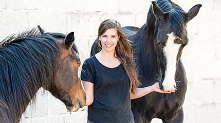 CAVALLO Mit Stift, Stoff und Humor Mit Stift, Stoff und Humor