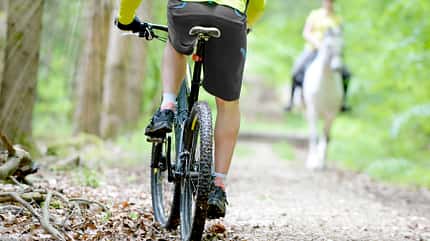 CAVALLO Wir im Wald, Knigge im Wald Knigge im Wald