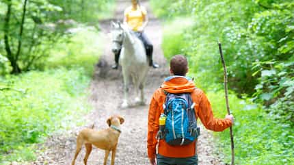 CAVALLO Wir im Wald, Knigge im Wald Knigge im Wald