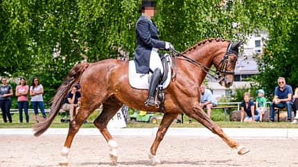 CAVALLO Turnierrichter packen aus Turnierrichter packen aus